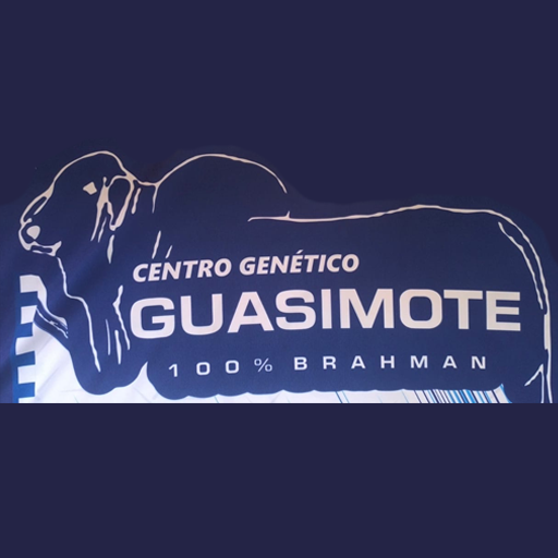 GUASIMOTE